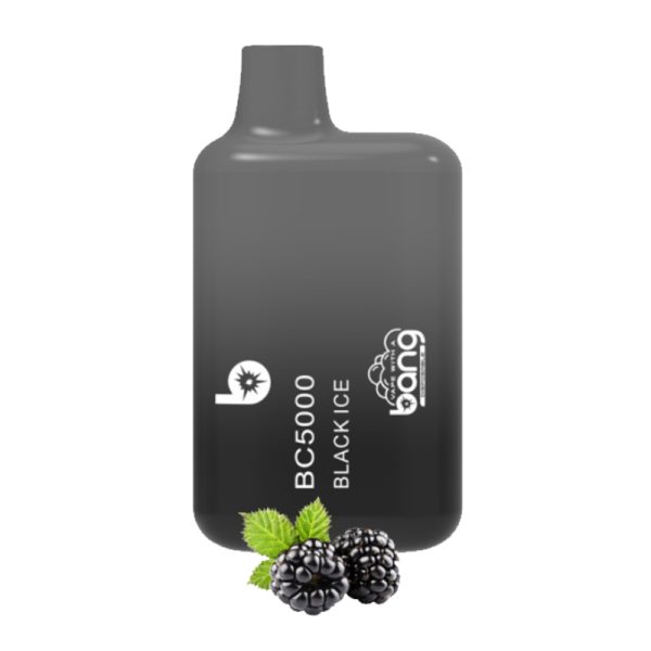 Bang BC 5k-14 Bang vape BC 5000 puff 5k E-Zigarette-10PCS/1 Schachtel