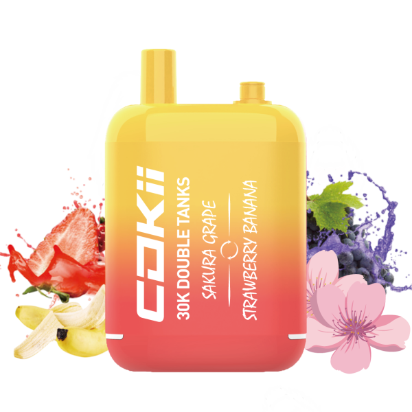 COKII 主图-03 Vape cokii bar 16000 puff 16K E-Zigarette-10PCS/1 Box