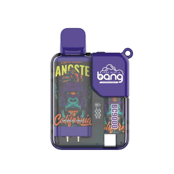 bang 9000-12 bang vape BC 9000 puff 9k E-Zigarette-10PCS/1 Schachtel