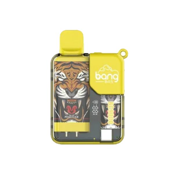 bang 9000-6 bang vape BC 9000 puff 9k E-Zigarette-10PCS/1 Schachtel
