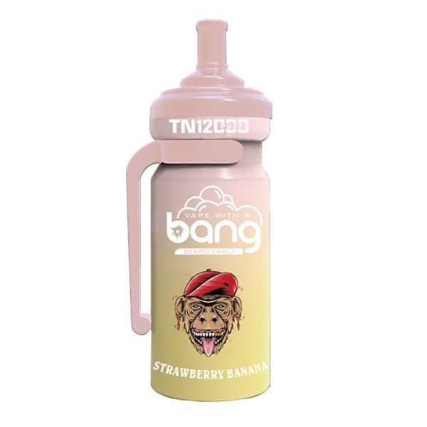 bang NT 12000-8 Vape Bang NT 12000 puff 12K E-Zigarette-10PCS/1 Schachtel