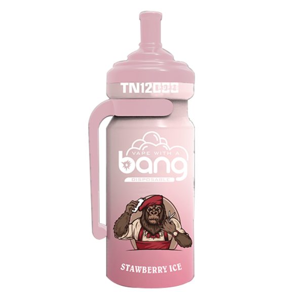 bang NT 12000-9 Vape Bang NT 12000 puff 12K E-Zigarette-10PCS/1 Schachtel