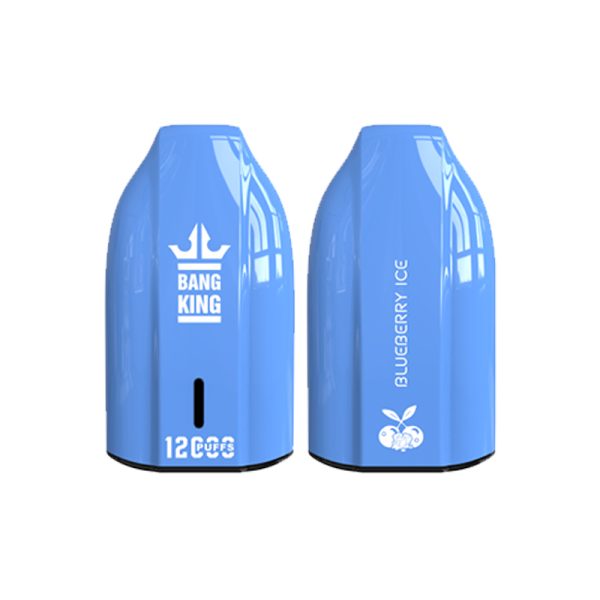 bang king 12000 puff Bang King 12000 | Entdecken Sie Bang King Vape 12000
