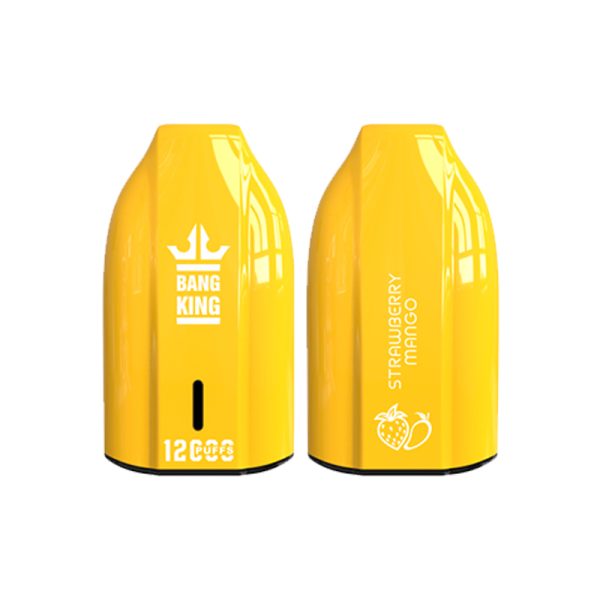 bang king 12000 puff Bang King 12000 | Entdecken Sie Bang King Vape 12000