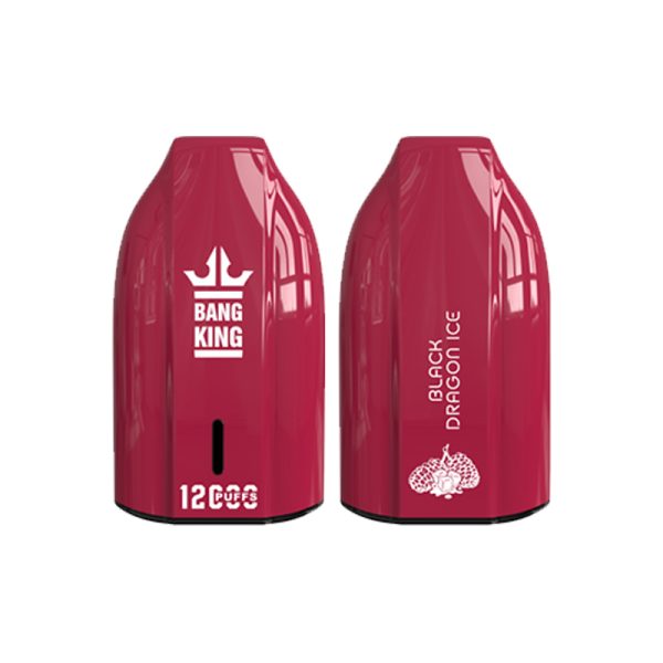bang king 12000 puff Bang King 12000 | Entdecken Sie Bang King Vape 12000