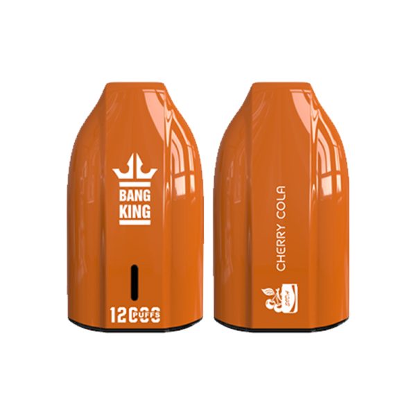 bang king 12000 puff Bang King 12000 | Entdecken Sie Bang King Vape 12000