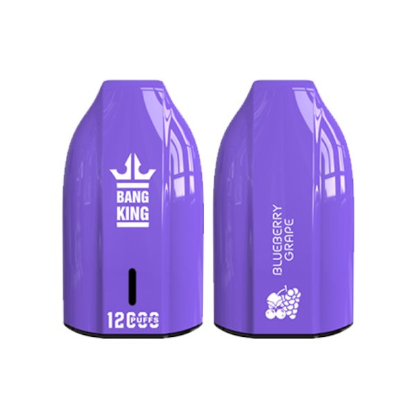 bang king 12000 puff Bang King 12000 | Entdecken Sie Bang King Vape 12000