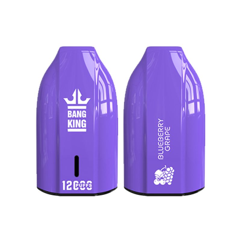 bang king 12000 puff Bang King 12000 | Entdecken Sie Bang King Vape 12000