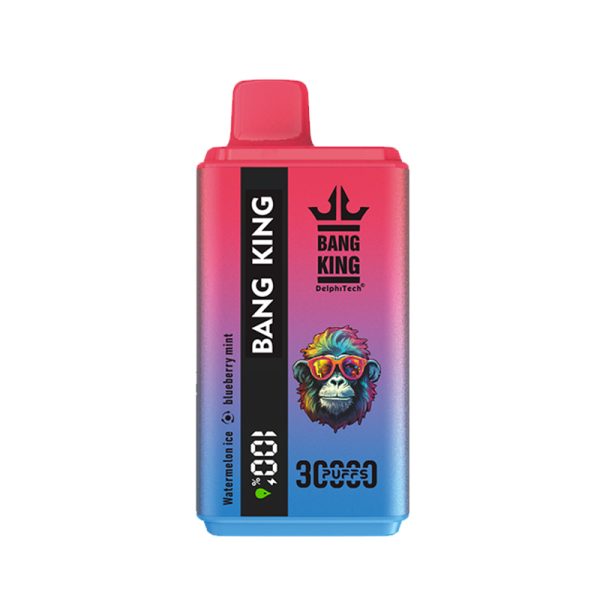 bang king 30K-20 bang king 30000 Puffs 30K E-Zigarette-10PCS/1 Schachtel