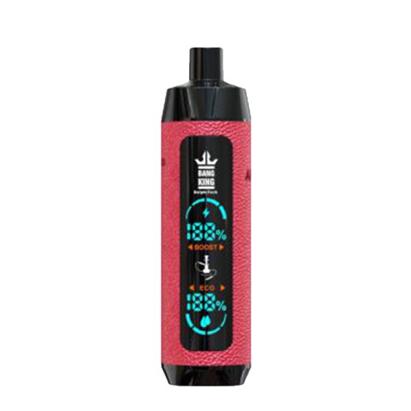 bangking 25k 皮套有屏-10 Vape pen Bang King 25000 puff 25k E-Zigarette-10PCS/1 box